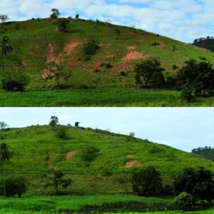 terreno-utilizado-na-pesquisa-de-combate-a-erosao-em-novembro-de-2015-e-um-ano-depois-foto-roman-seliger