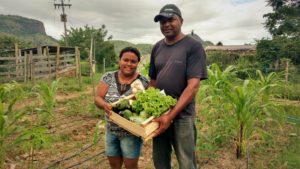 casal-de-agricultores-de-miracema-tem-conquistado-clientes-com-a-cesta-personalizada-de-produtos-agroecologicos-foto-aline-proenca